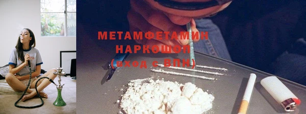 прущие грибы Наволоки