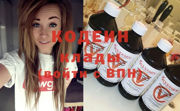 прущие грибы Наволоки