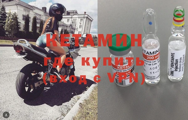 прущие грибы Наволоки