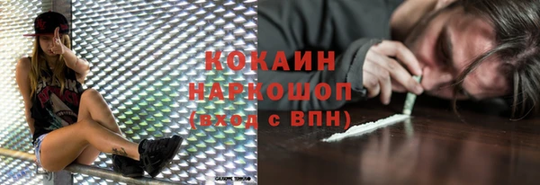 прущие грибы Наволоки