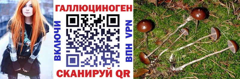 Псилоцибиновые грибы GOLDEN TEACHER  Куртамыш 